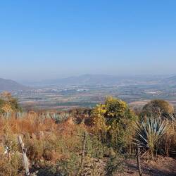 Auf Wanderschaft ...