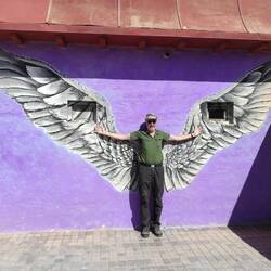 Eines Menschen Flügel.