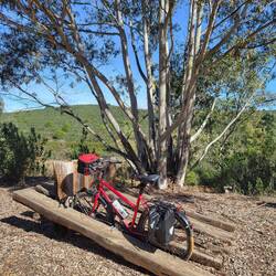 Originelle Fahrradständer