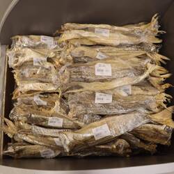 Im Supermarkt gibt es getrockneten Fisch...