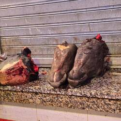 Pferd wird auch gegessen🙄