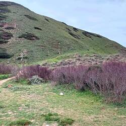 Sanfter Abstieg zum Praia do Amado