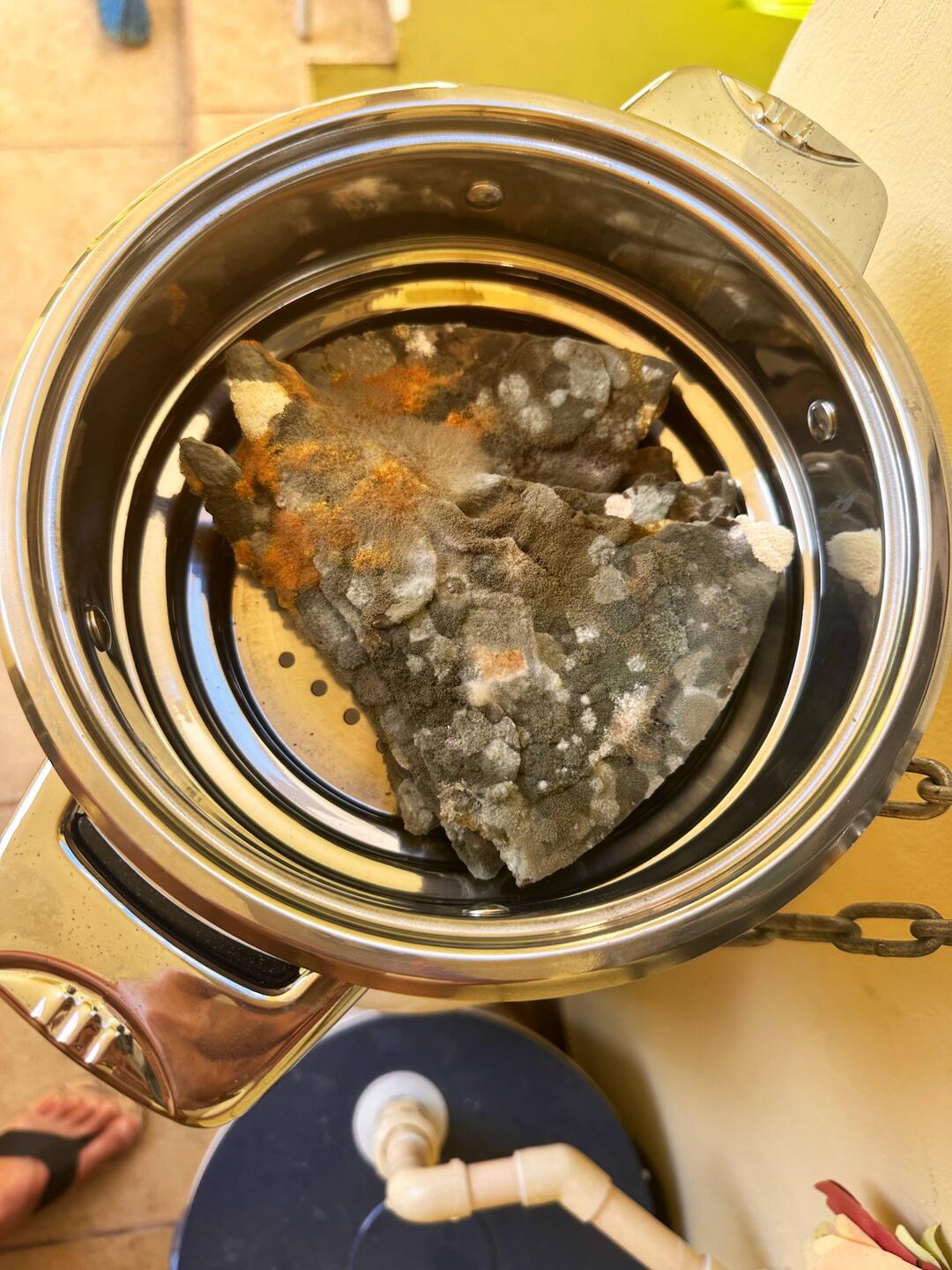 Pfanne mit Verschimmeltem