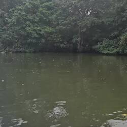 Und vom Boot aus gibt es viele Reiher zu sehen