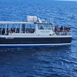 Waving to our new passengers joining us