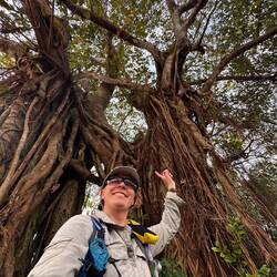 Nächster riesiger Freund