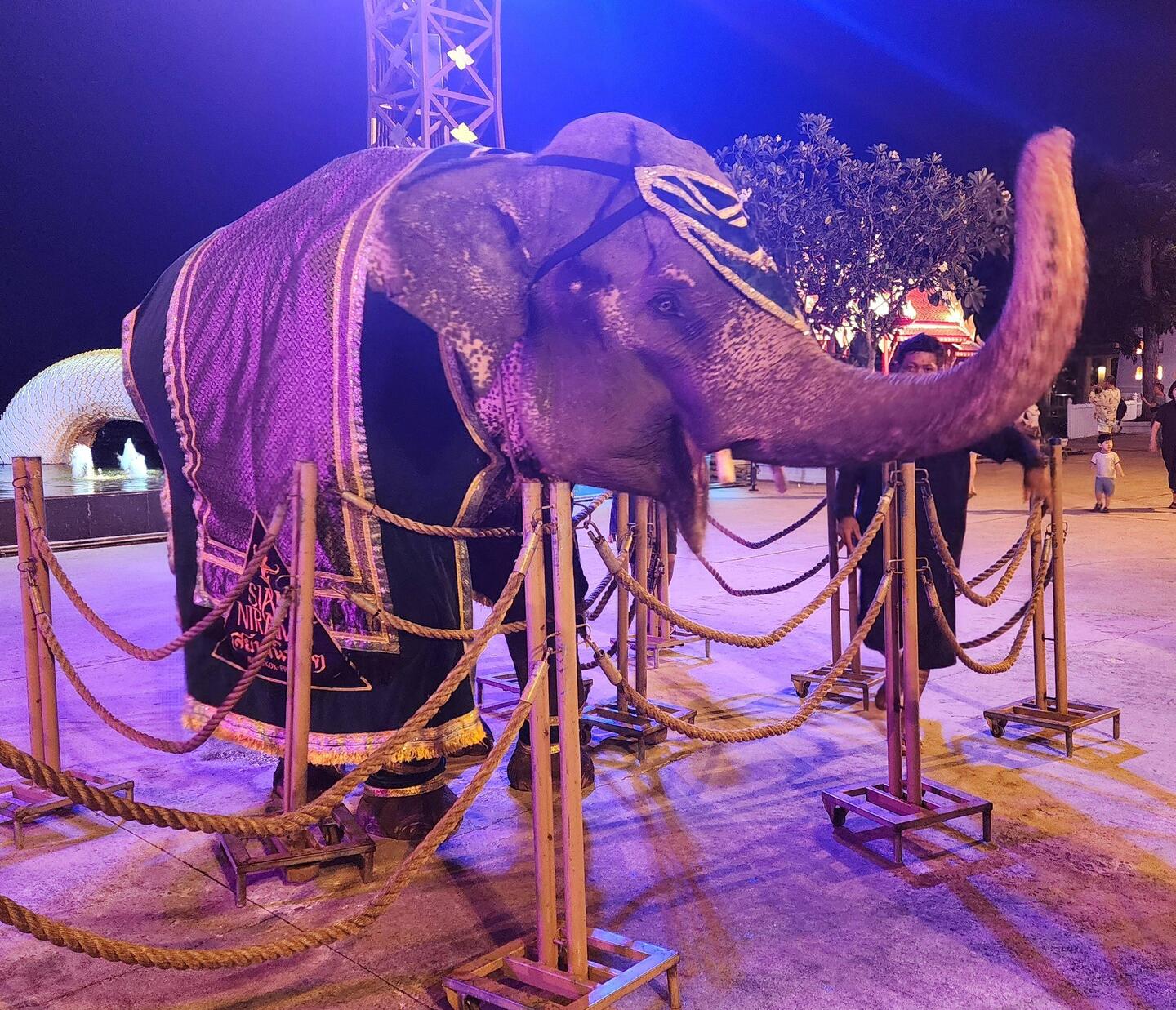 JP actually petted this beast!