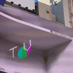 The giant 3D cat billboard in Shinjuku.