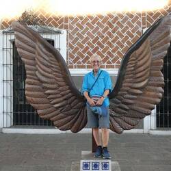 Sprouting wings, Puebla