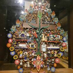 The tree of life Anthropology Museum