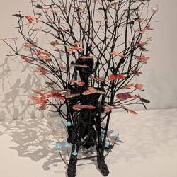 Moths from National Geographic magazine cut out and displayed in Art Gallery