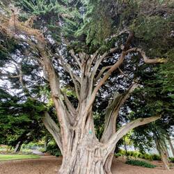 In the botanical gardens