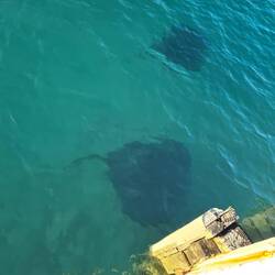 Roche i de Elaine Bay