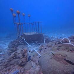 Cage for shark bait