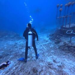 'FIJI gladiators' -- they kept the sharks from getting too close.
