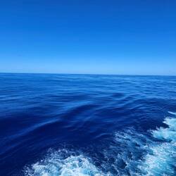 We figured the South Atlantic would be one of the rougher patches, but sea like glass on Sunday.