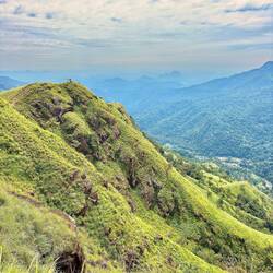 Litte Adams Peak