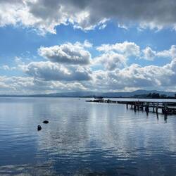 Lake Rotorua