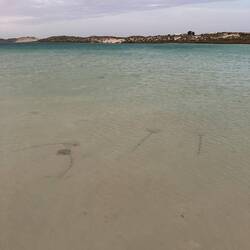 Die Kollegen mit den Stacheln...😝