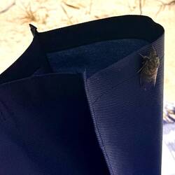 ...saß auf der Strandtasche....🙈