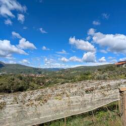 Andische (bolivianisches) Weinanbaugebiet