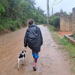 Und los geht's! (Inklusive neuem Begleiter 🥰)