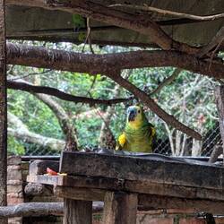 Vögel.....(n) 😉😁