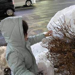 Première fois que Mimi voit autant de neige