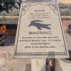 Im See hat es Krokodile...