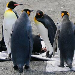 What are they up to?