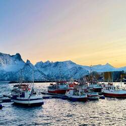 Husøy island harbor