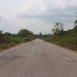 Die Straße wandelt sich in eine mittelmäßige Urwaldpiste