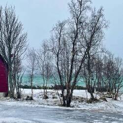 Beautiful blue bay on the cost of Stonglandseidet.