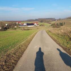 In der Hohenloher Ebene