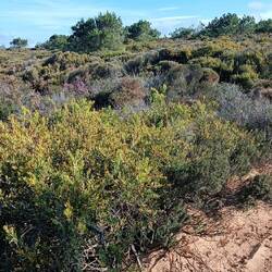 Es geht ins Landesinnere