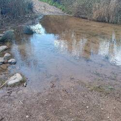 Leichte Überschwemmung, die nicht so einfach zu Überqueren ist.