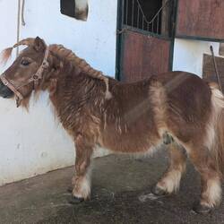 Unser kleines Einhorn 🦄 ☺️