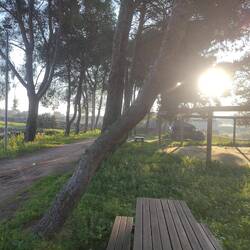 Der öffentliche Picknick Platz