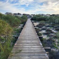 Auf dem Steg zum Meer.