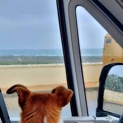 Regenwetter aussitzen