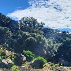 Wie aus einem Fantasy Film 🦄