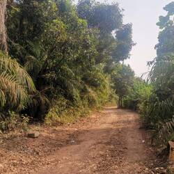 Endlich raus aus der Stadt und wieder etwas Grün!