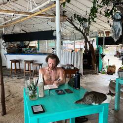 Football highlights or plotting a novel?