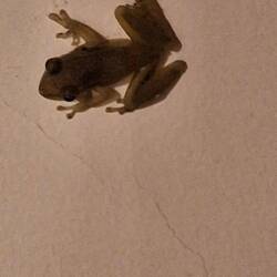 Besuch in unserem Zimmer