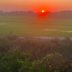 letzter Sonnenuntergang über den Reisfeldern