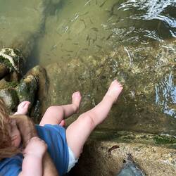 Ian meets the fish. (Some looked like tetras!)