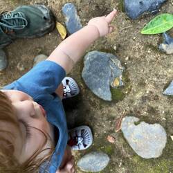 Ian loved pointing out leaf cutter ants!