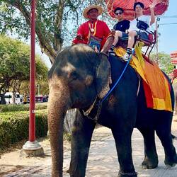 arme Tourielefaten... nur noch adiatische Touristen reiten, soviel ich gesehen habe