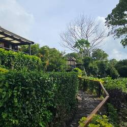 More rooms are above and behind the Honeymoon Suite.