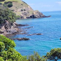 Way back to Coromandel